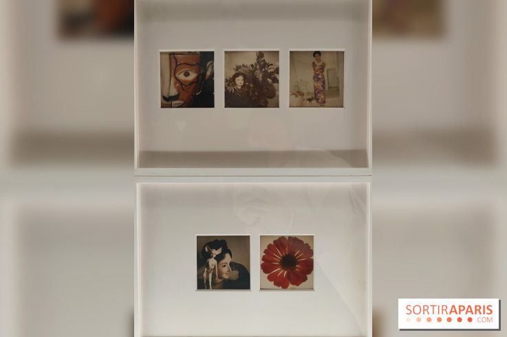 Polaraki, mille polaroids d'Araki Nobuyoshi : l'exposition du musée Guimet se dévoile