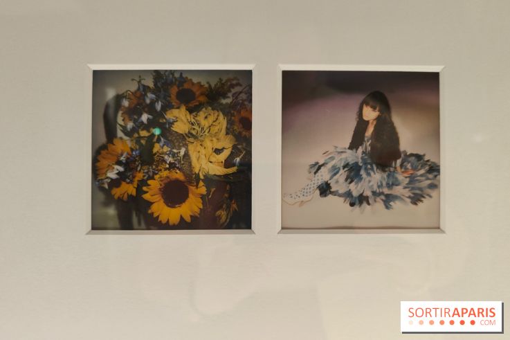 Polaraki, mille polaroids d'Araki Nobuyoshi : l'exposition du musée Guimet se dévoile