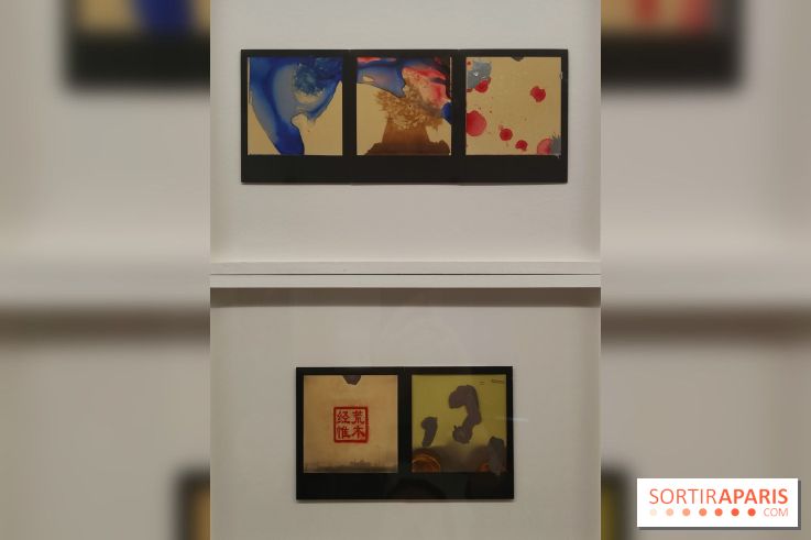 Polaraki, mille polaroids d'Araki Nobuyoshi : l'exposition du musée Guimet se dévoile