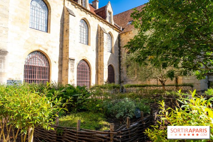 Les spectacles du dimanche de l'Abbaye de Royaumont dans le Val-d'Oise - A7C08416