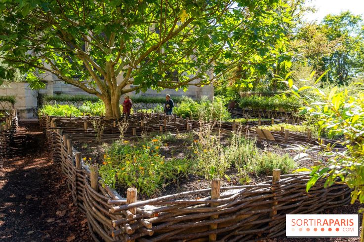 Les spectacles du dimanche de l'Abbaye de Royaumont dans le Val-d'Oise - A7C08415