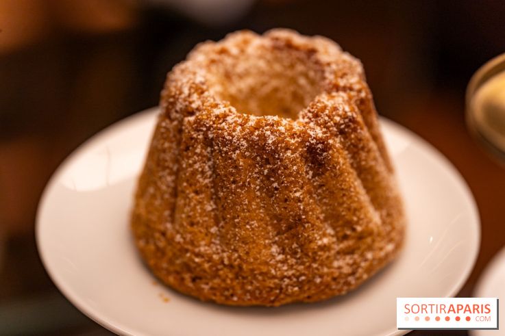 la Bûche de Noêl du Mandarin Oriental Lutetia aux Lumières de Paris - A7C08077