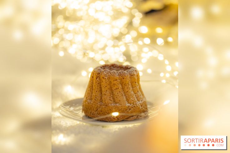la Bûche de Noêl du Mandarin Oriental Lutetia aux Lumières de Paris
