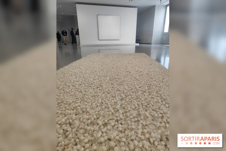 Minimal, quand l'art va à l'essentiel : l'exposition de la Bourse de Commerce se dévoile