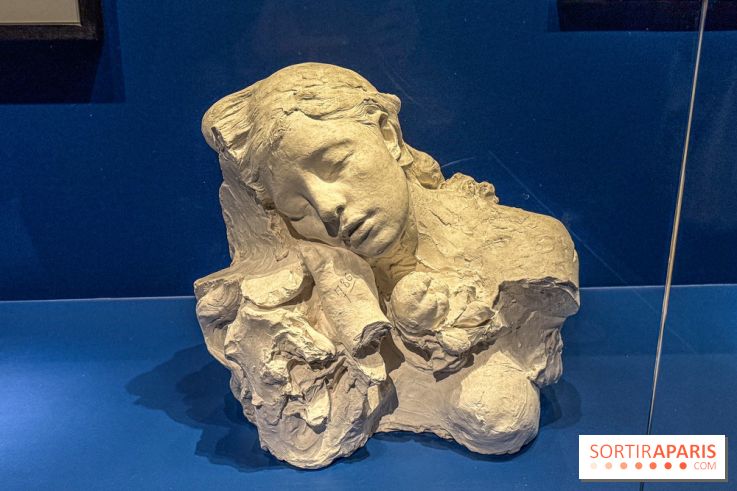 L’Empire du Sommeil : quand le rêve s’expose au Musée Marmottan Monet - IMG 8941