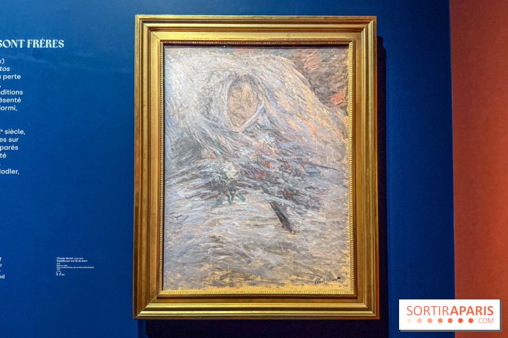 L’Empire du Sommeil : quand le rêve s’expose au Musée Marmottan Monet - IMG 8965