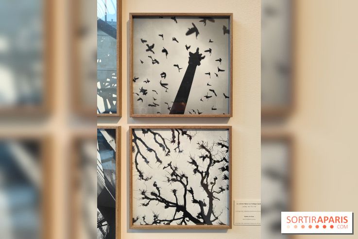 Gaston Paris - L'équilibre du carré : l'exposition photo gratuite de la galerie Roger-Viollet
