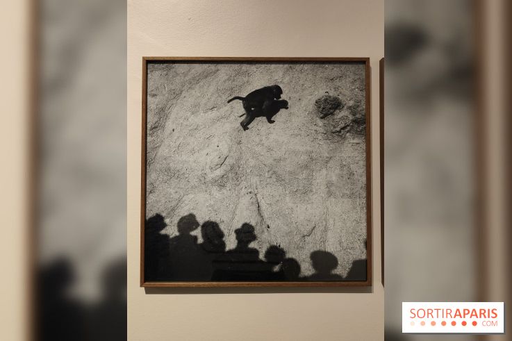 Gaston Paris - L'équilibre du carré : l'exposition photo gratuite de la galerie Roger-Viollet