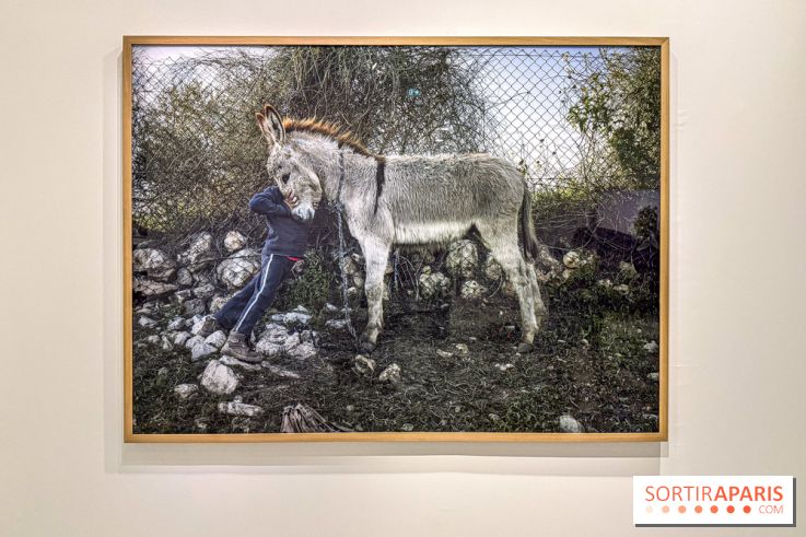 Exposition Luc Delahaye au Jeu de Paume : la grande rétrospective à ne pas manquer - IMG 9118