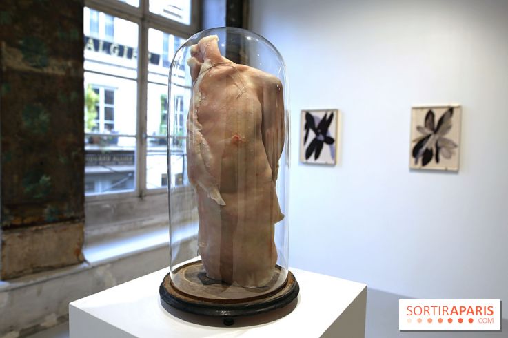 Berlinde De Bruyckere : nos photos de son exposition 'Need' à la Galleria Continua 