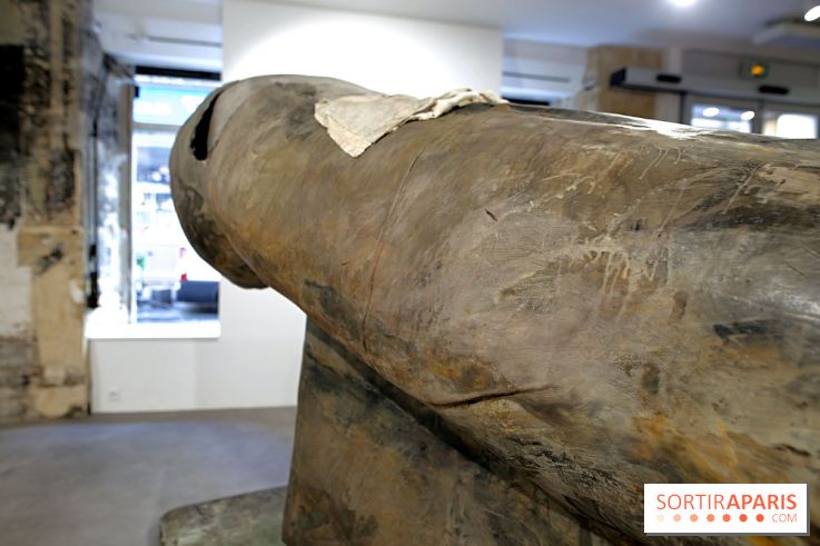 Berlinde De Bruyckere : nos photos de son exposition 'Need' à la Galleria Continua 