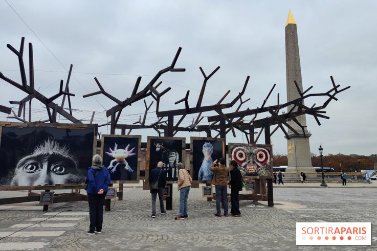 Photoclimat : derniers jours pour la biennale artistique place de la Concorde à Paris