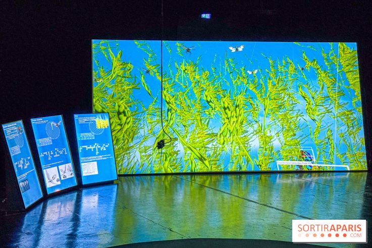 Exposition Les Illusions retrouvées au CENTQUATRE-Paris : les nouvelles utopies de l’ère numérique - IMG 9245