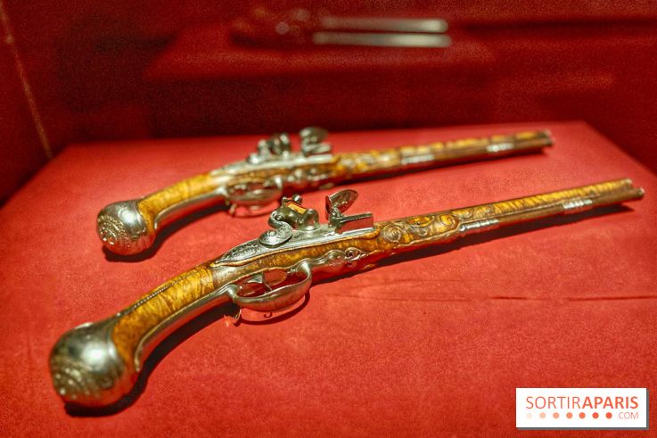 Le Grand Dauphin, fils de roi, père de roi et jamais roi - IMG 6399