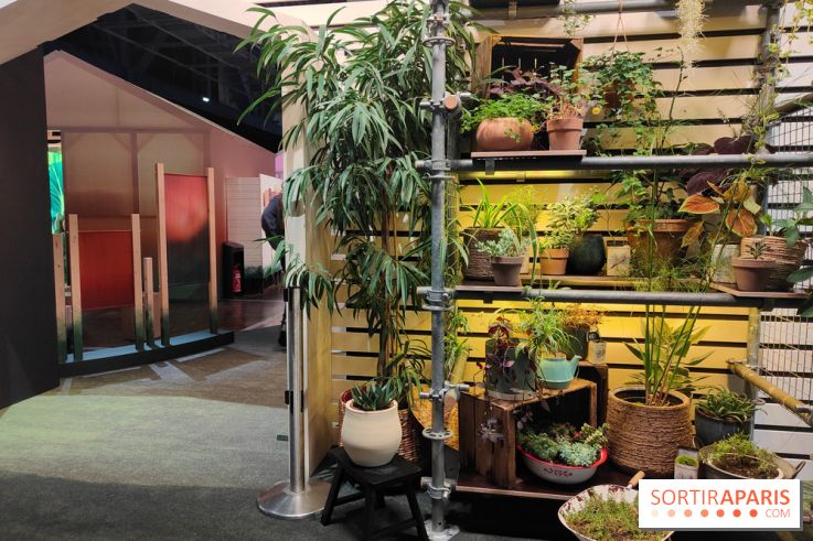 Jardiner : une exposition au cœur de la nature à vivre à la Cité des Sciences et de l'Industrie