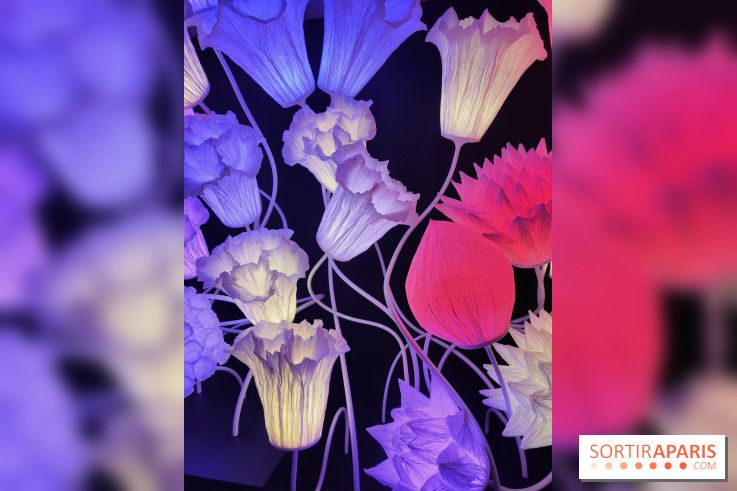 Jardiner : une exposition au cœur de la nature à vivre à la Cité des Sciences et de l'Industrie - fotor 1760432427480