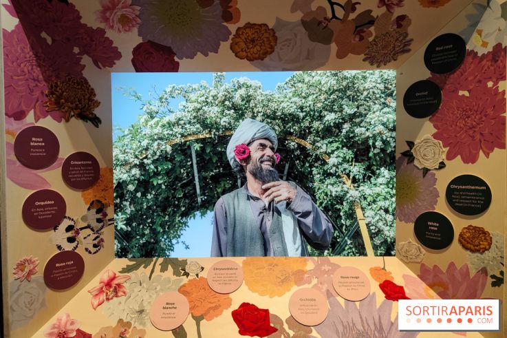 Jardiner : une exposition au cœur de la nature à vivre à la Cité des Sciences et de l'Industrie - fotor 1760436712730