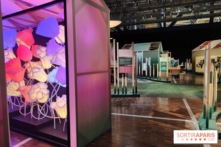 Jardiner : une exposition au cœur de la nature à vivre à la Cité des Sciences et de l'Industrie - fotor 1760436686427