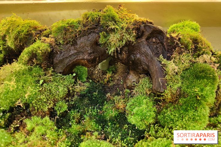 Jardiner : une exposition au cœur de la nature à vivre à la Cité des Sciences et de l'Industrie