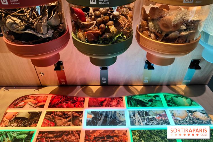 Jardiner : une exposition au cœur de la nature à vivre à la Cité des Sciences et de l'Industrie - fotor 1760436787512