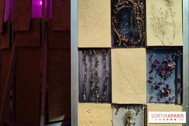 Jardiner : une exposition au cœur de la nature à vivre à la Cité des Sciences et de l'Industrie - fotor 1760436815036