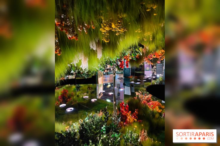 Jardiner : une exposition au cœur de la nature à vivre à la Cité des Sciences et de l'Industrie
