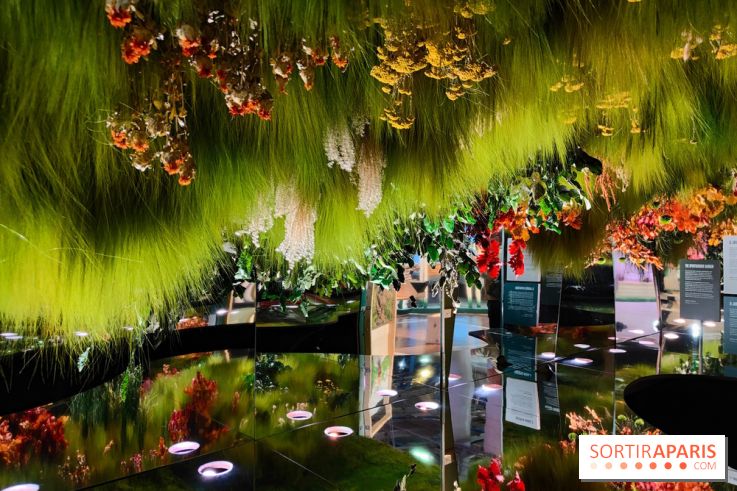 Jardiner : une exposition au cœur de la nature à vivre à la Cité des Sciences et de l'Industrie - fotor 1760436885761