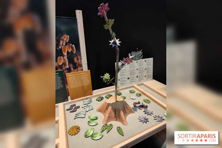 Jardiner : une exposition au cœur de la nature à vivre à la Cité des Sciences et de l'Industrie