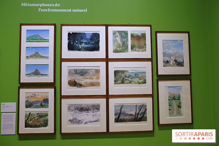 Isao Takahata - Pionnier du dessin animé contemporain, de l’après-guerre au Studio Ghibli, nos photos de l'expo