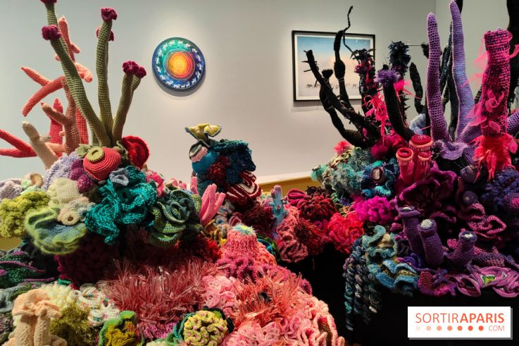 Migrations et climat : une exposition instructive au Palais de la Porte Dorée, nos photos - fotor 1760535400802