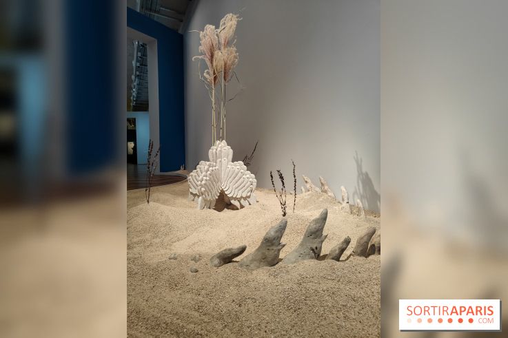 Migrations et climat : une exposition instructive au Palais de la Porte Dorée, nos photos
