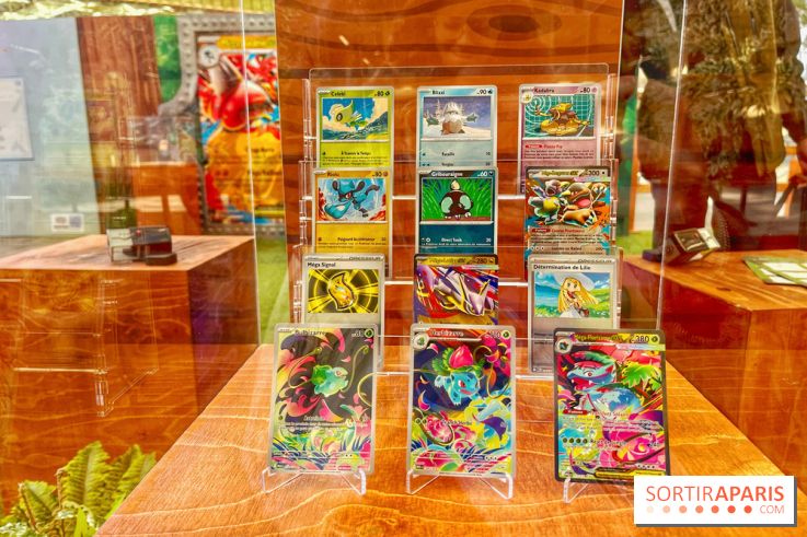 Pop-up Pokémon - IMG 6806