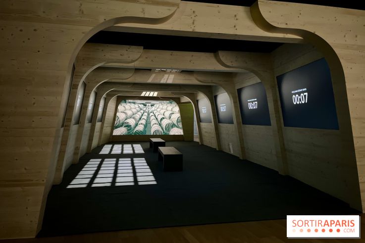 Dans le sillage de Magellan - IMG 6866