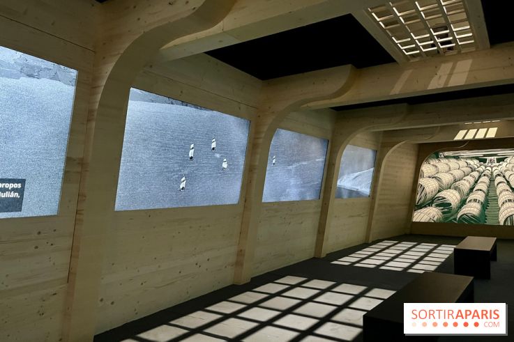 Dans le sillage de Magellan