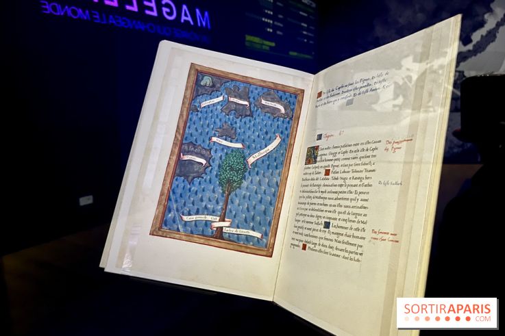 Dans le sillage de Magellan - IMG 6904