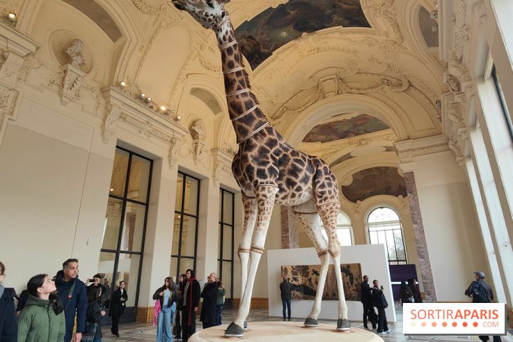 Art Basel 2025 : des installations d'art contemporain originales et gratuites à voir au Petit Palais - fotor 1761044760630