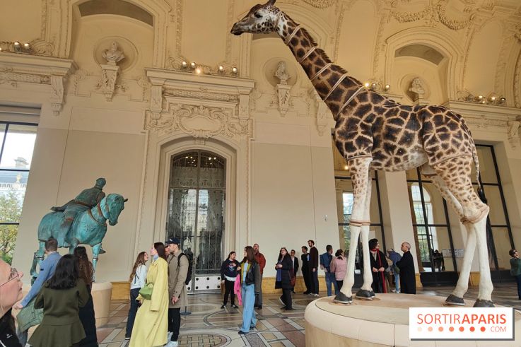 Art Basel 2025 : des installations d'art contemporain originales et gratuites à voir au Petit Palais - fotor 1761044776283