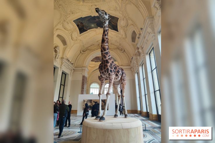 Art Basel 2025 : des installations d'art contemporain originales et gratuites à voir au Petit Palais - fotor 1761044796009