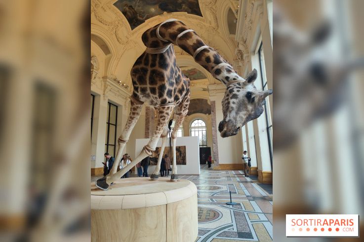 Art Basel 2025 : des installations d'art contemporain originales et gratuites à voir au Petit Palais - fotor 1761044818621