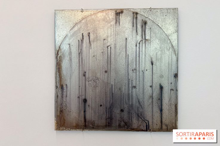 Ciel clair / eaux troubles : l’exposition de Steffani Jemison à Lafayette Anticipations à Paris - IMG 0039