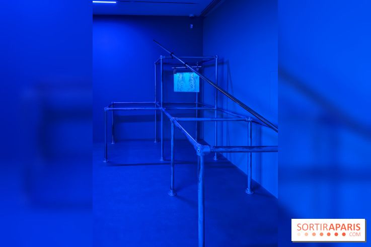 Ciel clair / eaux troubles : l’exposition de Steffani Jemison à Lafayette Anticipations à Paris - IMG 0048