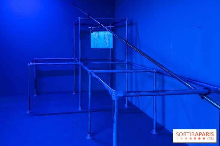 Ciel clair / eaux troubles : l’exposition de Steffani Jemison à Lafayette Anticipations à Paris - IMG 0049