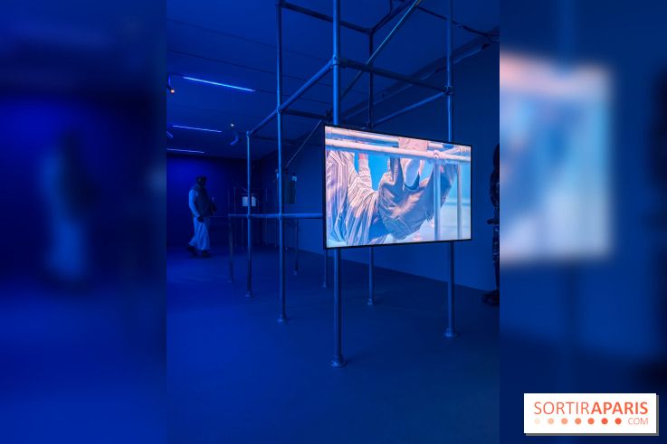 Ciel clair / eaux troubles : l’exposition de Steffani Jemison à Lafayette Anticipations à Paris - IMG 0053