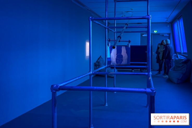 Ciel clair / eaux troubles : l’exposition de Steffani Jemison à Lafayette Anticipations à Paris - IMG 0058