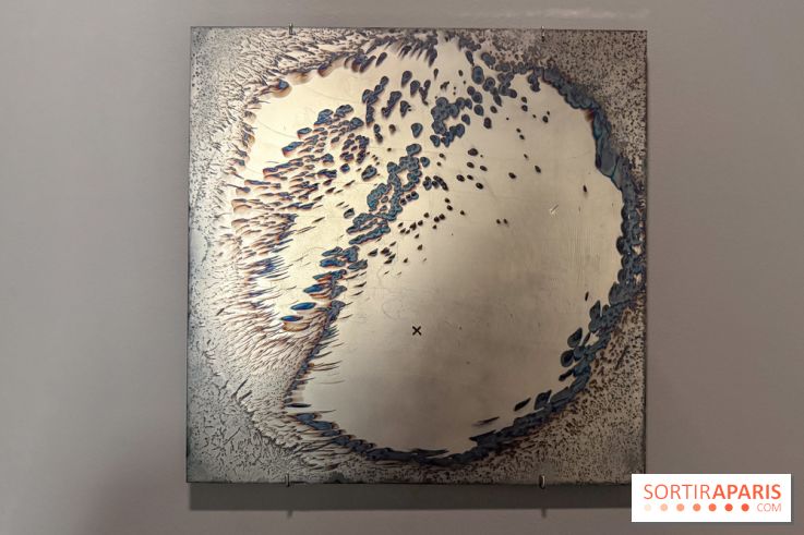 Ciel clair / eaux troubles : l’exposition de Steffani Jemison à Lafayette Anticipations à Paris - IMG 0066