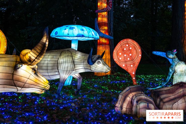 Thoiry Lumières Sauvages 2025 : le Bal des Esprits - A7C09479