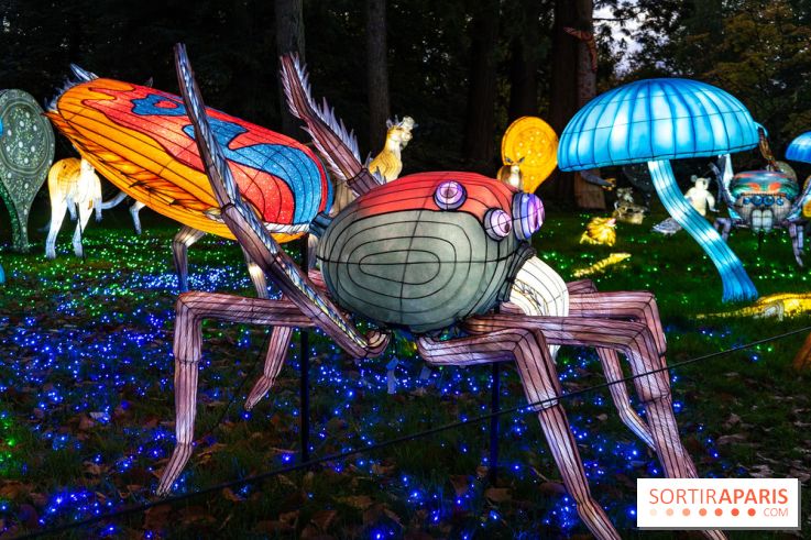 Thoiry Lumières Sauvages 2025 : le Bal des Esprits - A7C09480