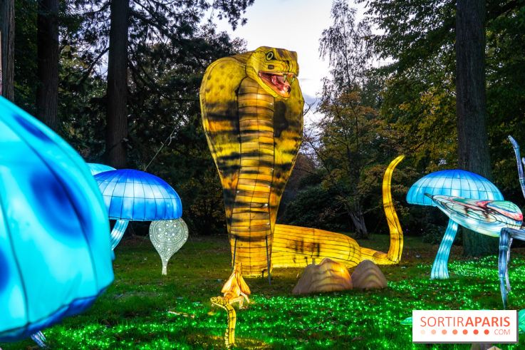 Thoiry Lumières Sauvages 2025 : le Bal des Esprits - A7C09484