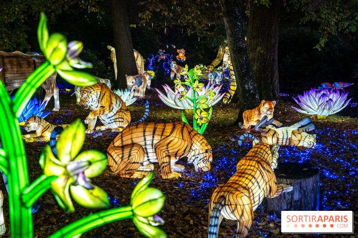 Thoiry Lumières Sauvages 2025 : le Bal des Esprits - A7C09485