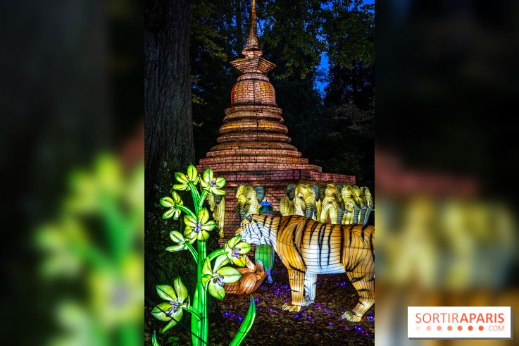 Thoiry Lumières Sauvages 2025 : le Bal des Esprits - A7C09486